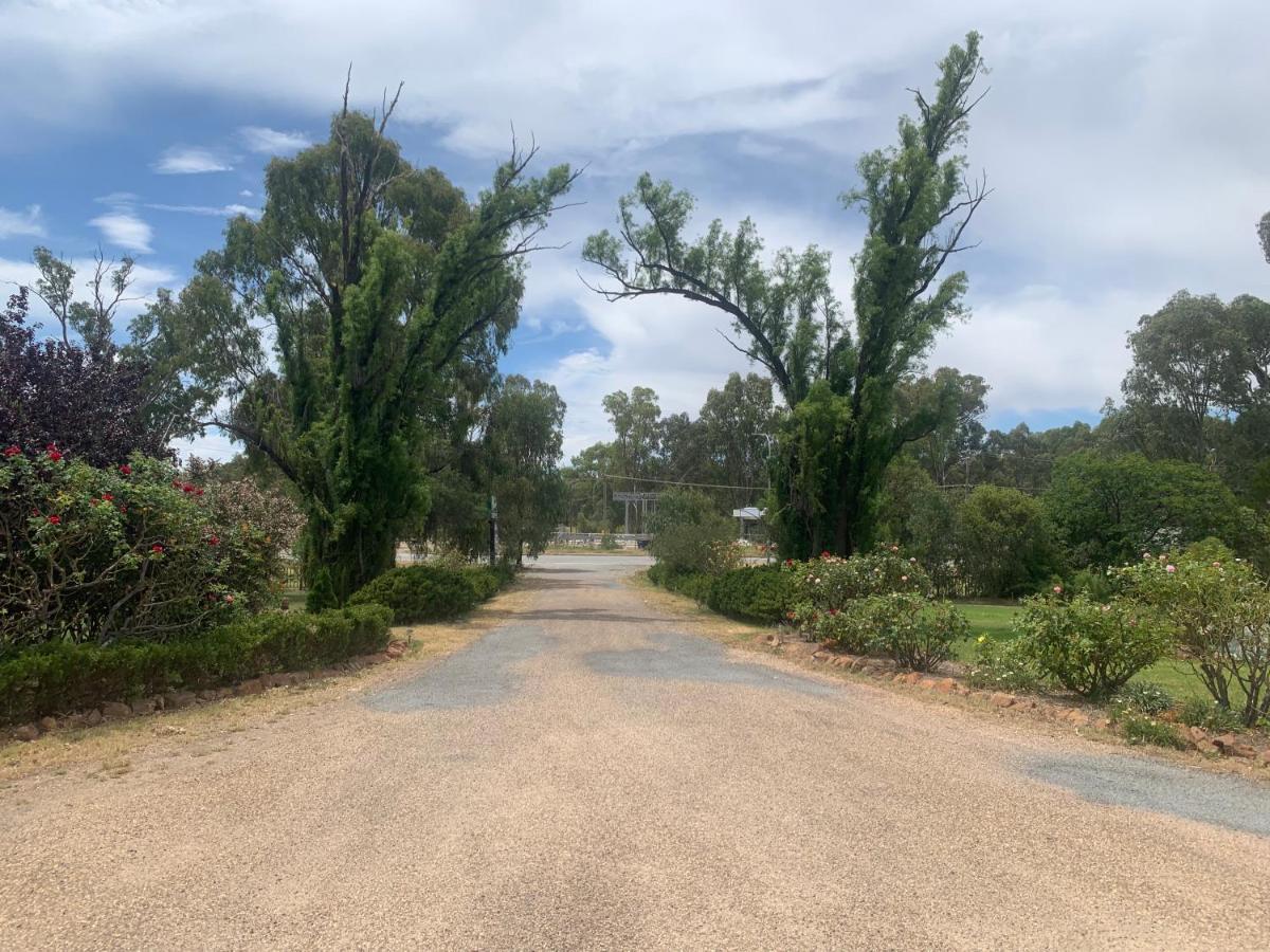 Newell Motor Inn Narrandera Bagian luar foto