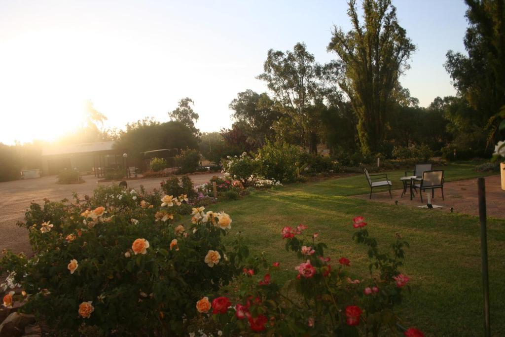 Newell Motor Inn Narrandera Bagian luar foto