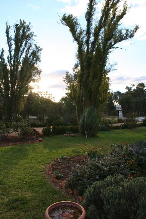 Newell Motor Inn Narrandera Bagian luar foto